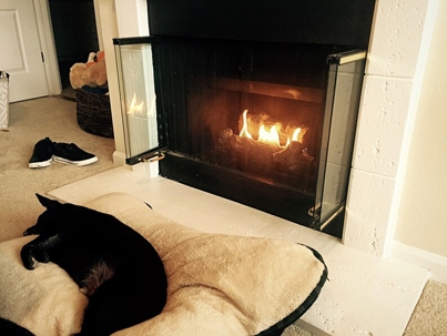 dog sits in front of a fireplace